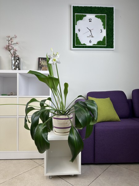 Журнальный столик ML Smart Group Ислочь 35x35x35см / W1200ST9