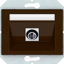 Розетка Vilma 4779101633153 - фото