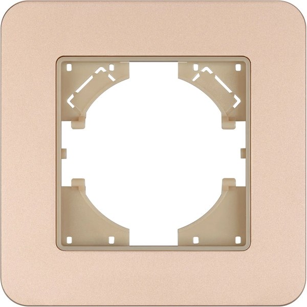 Рамка для выключателей и розеток Arlight FRM-AKIRY-SFAL-1-GD / 049686 - фото