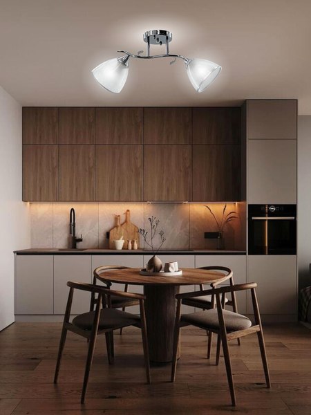 Потолочный светильник Aitin-Pro НПБ 02-2x60-101 / 6042/2