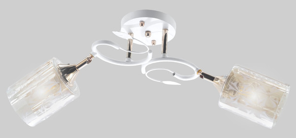 Потолочный светильник Aitin-Pro НПБ 02-2x60-101 / 6068/2