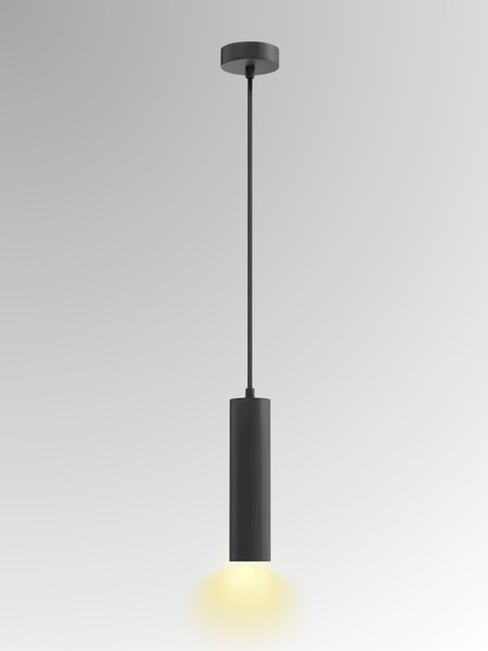 Потолочный светильник Zhong Lighting Limited WND19835/1