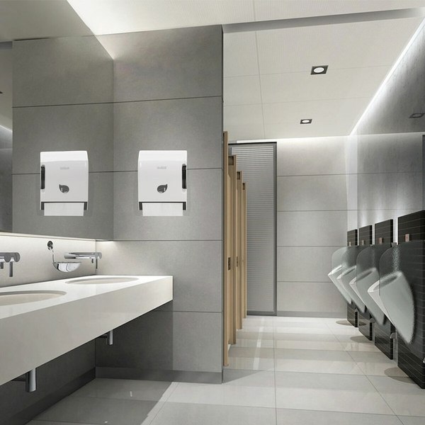 Диспенсер Laima Professional Eco / 606549