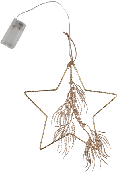 Подвеска новогодняя AksHome Тип 6 Звезда с веткой 25х24см 18LED 2АА - фото
