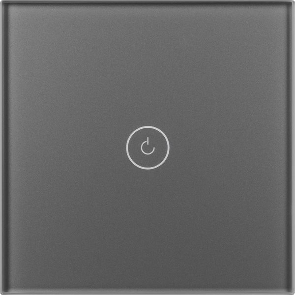 Выключатель Arlight SWT-OMALI-S01-ZB-GR / 050036 - фото