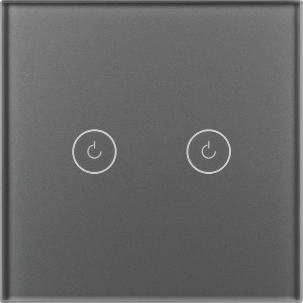 Выключатель Arlight SWT-OMALI-S02-ZB-GR / 050039 - фото