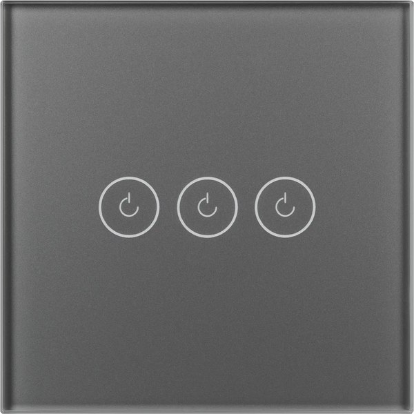 Выключатель Arlight SWT-OMALI-S03-ZB-GR / 050047 - фото