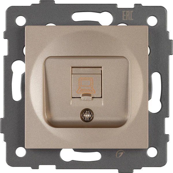 Розетка Arlight SCT-MPC1-PL-GD-V / 049849 - фото