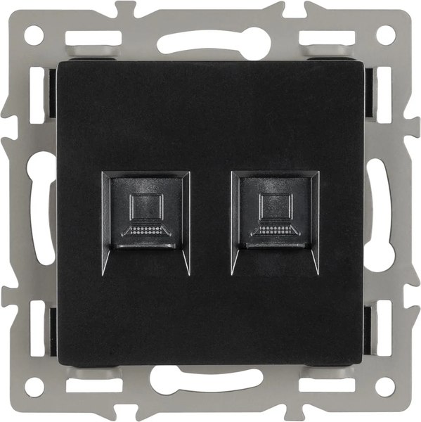 Розетка Arlight SCT-MPC2-PL-BK / 045337 - фото