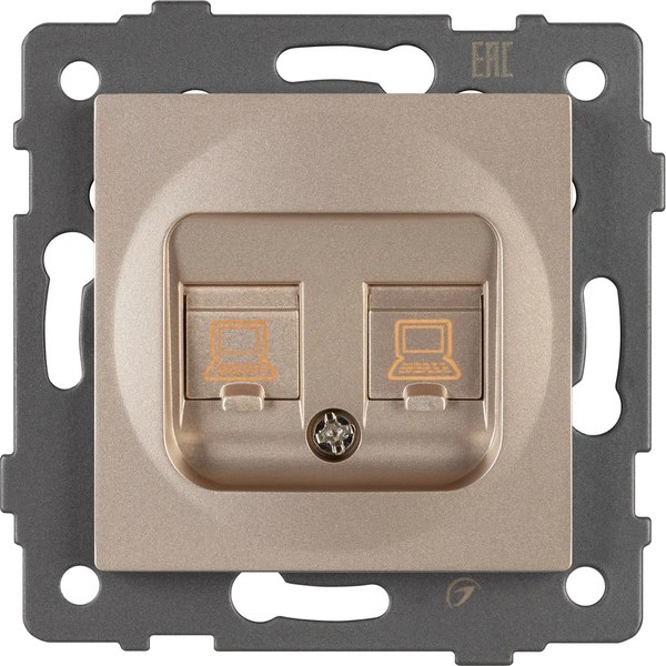 Розетка Arlight SCT-MPC2-PL-GD-V / 049850 - фото