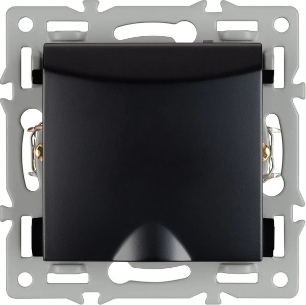 Розетка Arlight SCT-MCP-PL-BK / 043746 - фото
