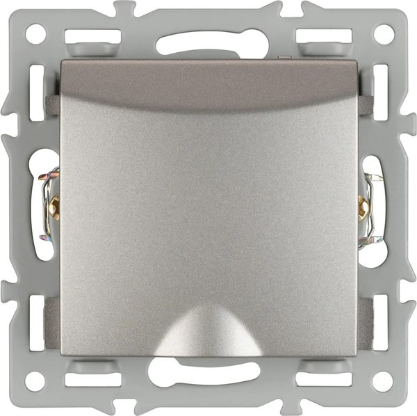 Розетка Arlight SCT-MCP-PL-GR / 043747 - фото