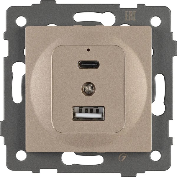 Розетка Arlight SCT-MUAC-PL-GD-V / 049841 - фото