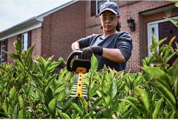 Кусторез аккумуляторный DeWalt DCMHT573X1