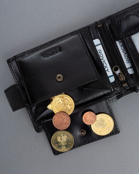 Портмоне Cedar Ronaldo RM-02L-BCF-BP