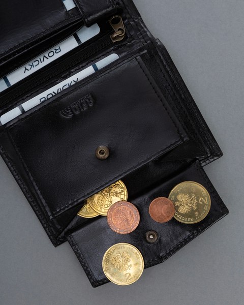 Портмоне Cedar Ronaldo RM-04-BCF-BP