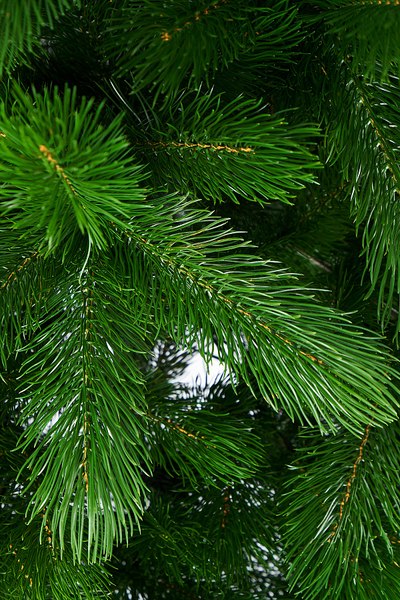 Ель искусственная Max Christmas Литая Крымская / ЕКРМЛ 15