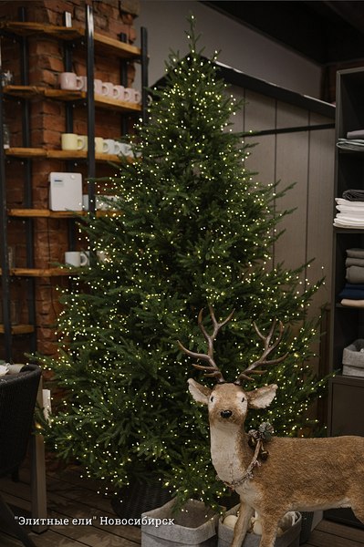 Ель искусственная Max Christmas Литая Лесная Симфония / ЕЛСМЛ 18