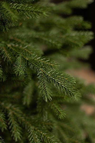 Ель искусственная Ёлушка Уральская / ЕУРАЛ 12