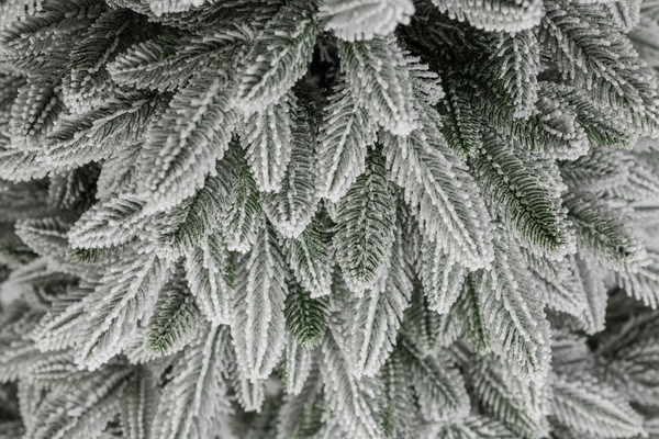 Ель искусственная Ёлушка Донская заснеженная / ЕДОНЗ 18