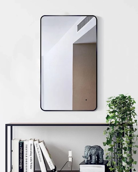 Зеркало Toppus Monaco 60х100 / 2911.023 - фото