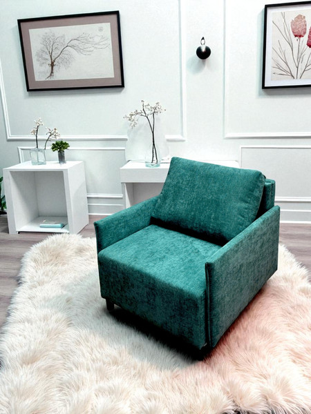 Кресло-кровать Домовой Визит-3 1 (80)