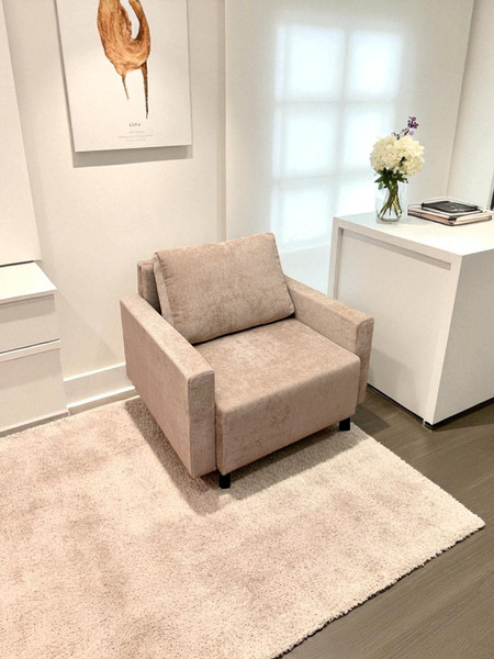 Кресло-кровать Домовой Визит-3 1 (80)-Ш