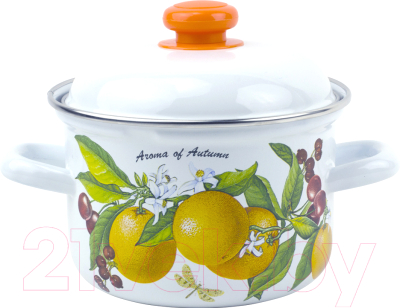 Кастрюля Лысьвенские эмали Фруктовая фантазия С-1608 АП2/4 - фото