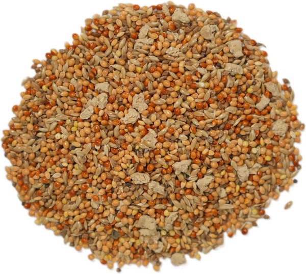 Корм для птиц Bambini Pets Для экзотических птиц