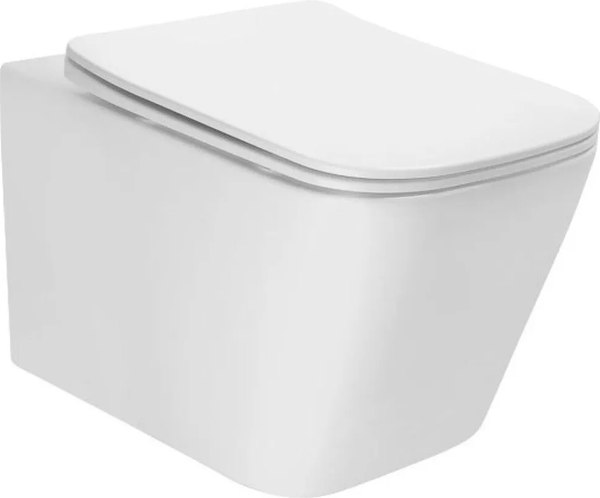 Унитаз подвесной AV Engineering Alca X Plus / AVWHR205X - фото