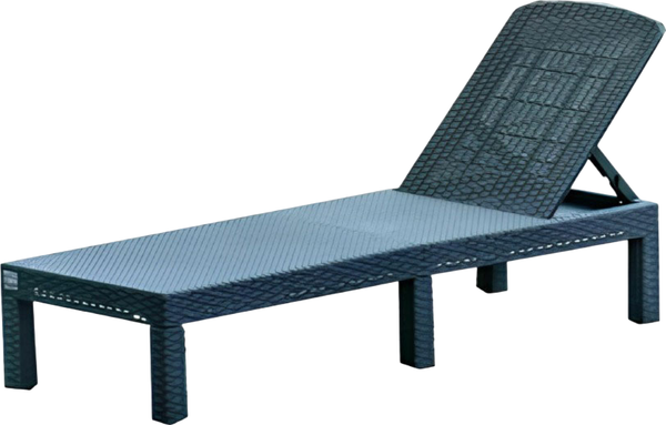 Шезлонг Springhouse Sunny SL01BL - фото