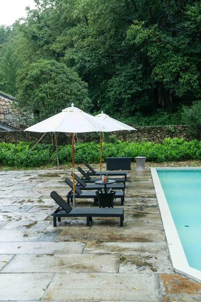 Шезлонг Springhouse Sunny SL01BL