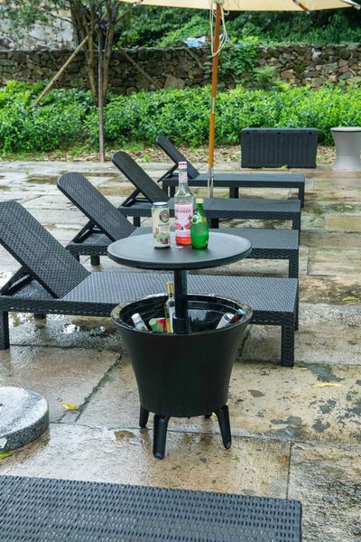 Шезлонг Springhouse Sunny SL01BL