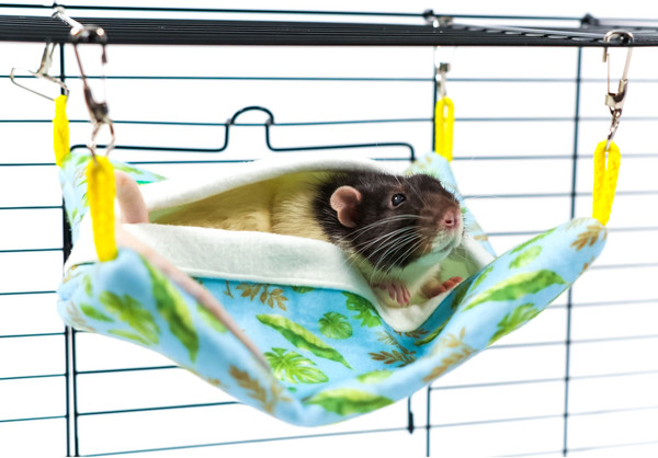 Лежак для грызунов Bambini Pets Квадратный спальный мешок / BMP517354