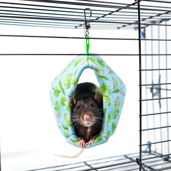 Лежак для грызунов Bambini Pets Гамак Мяч регби / BMP517361