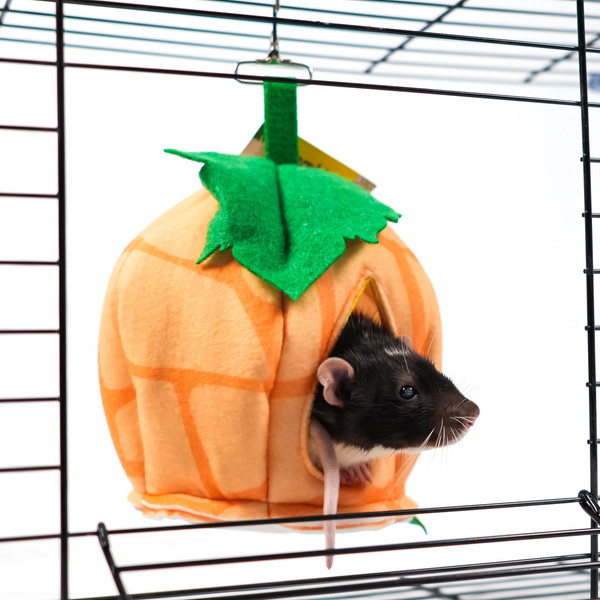 Лежак для грызунов Bambini Pets Тыковка / BMP517378