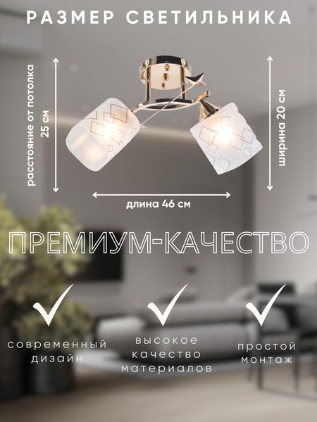 Потолочный светильник Aitin-Pro НПБ 02-2x60-101 / 6070/2