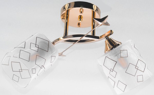 Потолочный светильник Aitin-Pro НПБ 02-2x60-101 / 6070/2