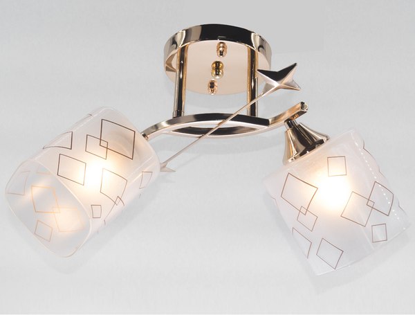 Потолочный светильник Aitin-Pro НПБ 02-2x60-101 / 6070/2