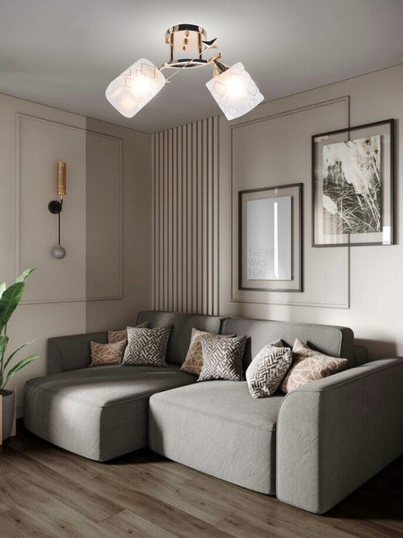 Потолочный светильник Aitin-Pro НПБ 02-2x60-101 / 6070/2