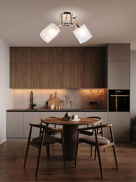 Потолочный светильник Aitin-Pro НПБ 02-2x60-101 / 6070/2