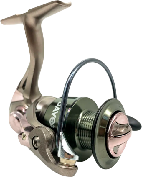 Катушка безынерционная Dayo Grace FD10 3+1ВВ Max Drag 4kg / 14090 - фото