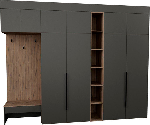 Секция в прихожую Рэйгрупп Рэй P262-B11-2-WKW В11-2 - фото