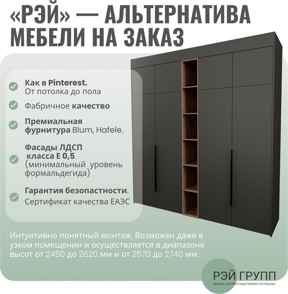 Шкаф Рэйгрупп Рэй S262-В13-2-EBZ В13-2