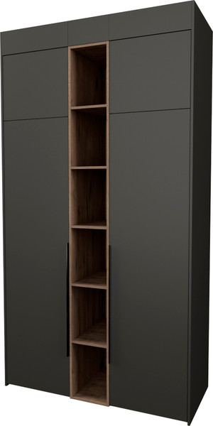 Шкаф Рэйгрупп Рэй S262-В4-WKW В4 - фото