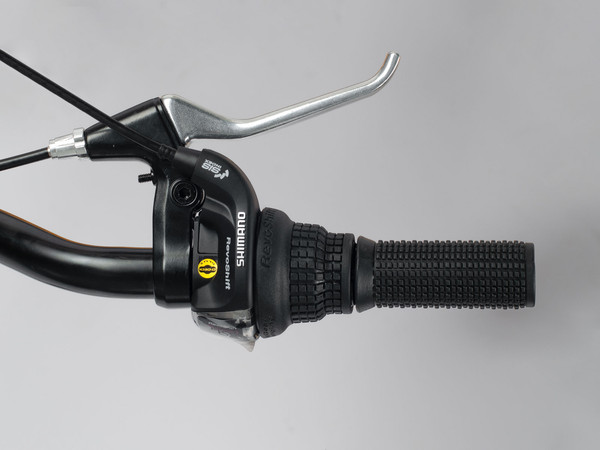 Велосипед Sitis Cargo Fat 20 Steel 2025