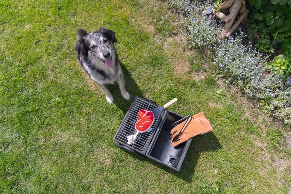 Игрушка для собак Beeztees Стейк для барбекю / 616977