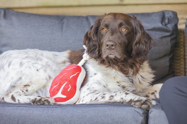 Игрушка для собак Beeztees Стейк для барбекю / 616977