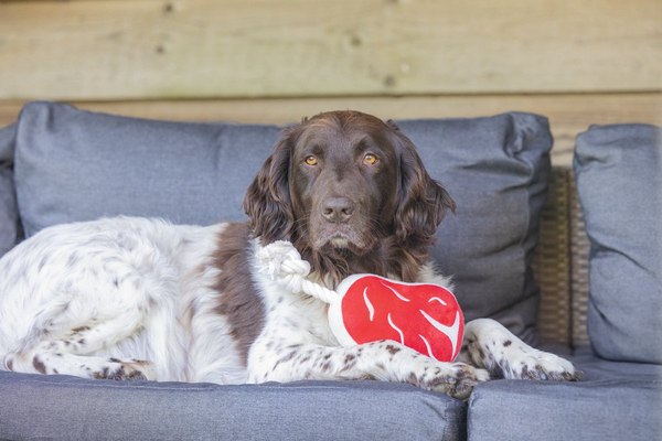 Игрушка для собак Beeztees Стейк для барбекю / 616977