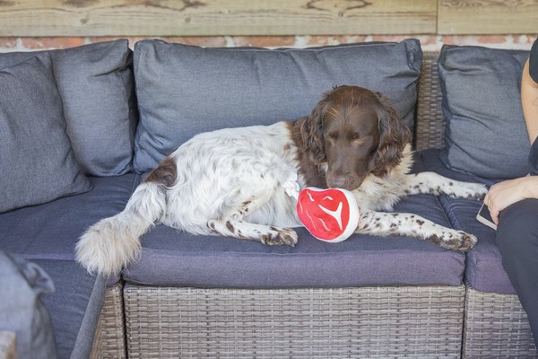 Игрушка для собак Beeztees Стейк для барбекю / 616977